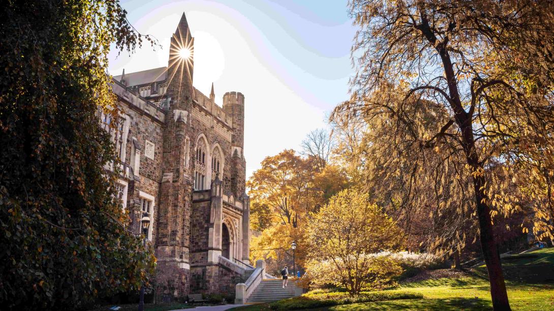 Campus beauty green areas